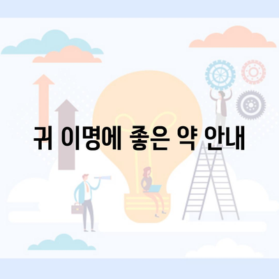 귀 이명에 좋은 약 안내