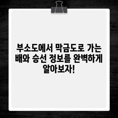 부소도에서 막금도로 가는 배와 승선 정보를 완벽하게 알아보자!