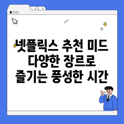 넷플릭스 추천 미드 다양한 장르로 즐기는 풍성한 시간