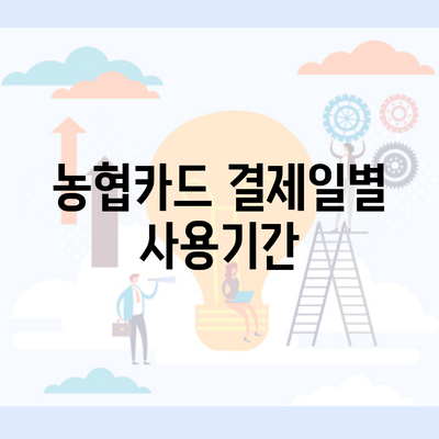 농협카드 결제일별 사용기간