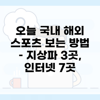 오늘 국내 해외 스포츠 보는 방법 – 지상파 3곳, 인터넷 7곳