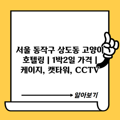 서울 동작구 상도동 고양이 호텔링 | 1박2일 가격 | 케이지, 캣타워, CCTV