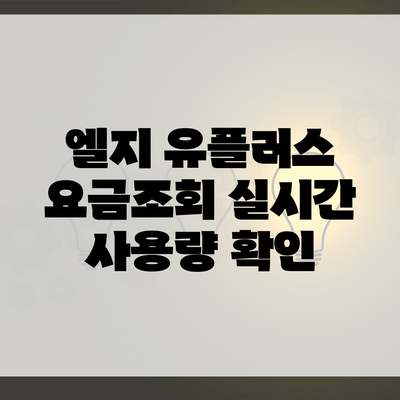 엘지 유플러스 요금조회 실시간 사용량 확인