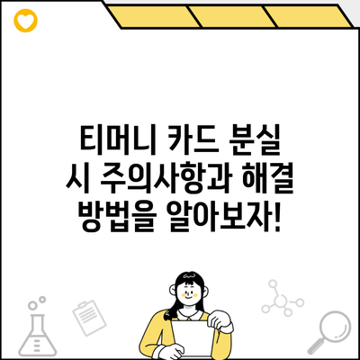 티머니 카드 분실 시 주의사항과 해결 방법을 알아보자!