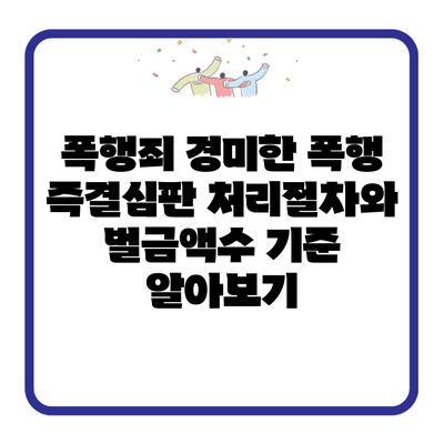 폭행죄 경미한 폭행 즉결심판 처리절차와 벌금액수 기준 알아보기