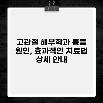 고관절 해부학과 통증 원인, 효과적인 치료법 상세 안내