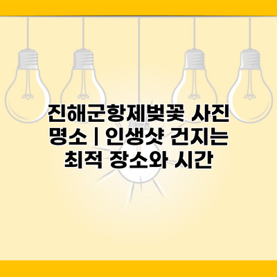 진해군항제벚꽃 사진 명소 | 인생샷 건지는 최적 장소와 시간