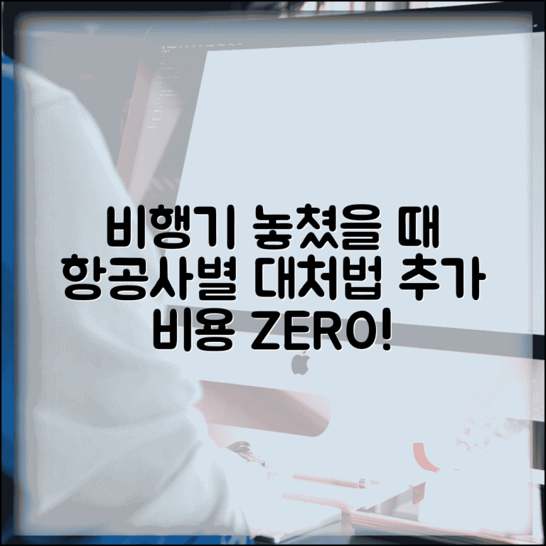 비행기 놓쳤을때 항공사별 대응 | 지연 도착시 다음 편 예약하고 추가 비용 최소화하기