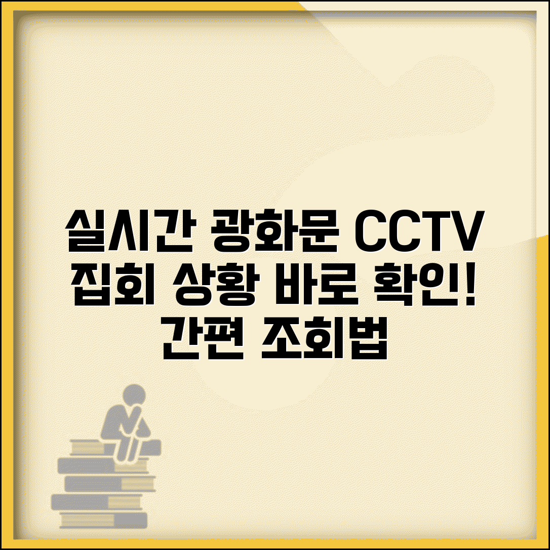 광화문 cctv 실시간 집회 상황 확인 | 광화문 실시간 CCTV 완벽 조회법