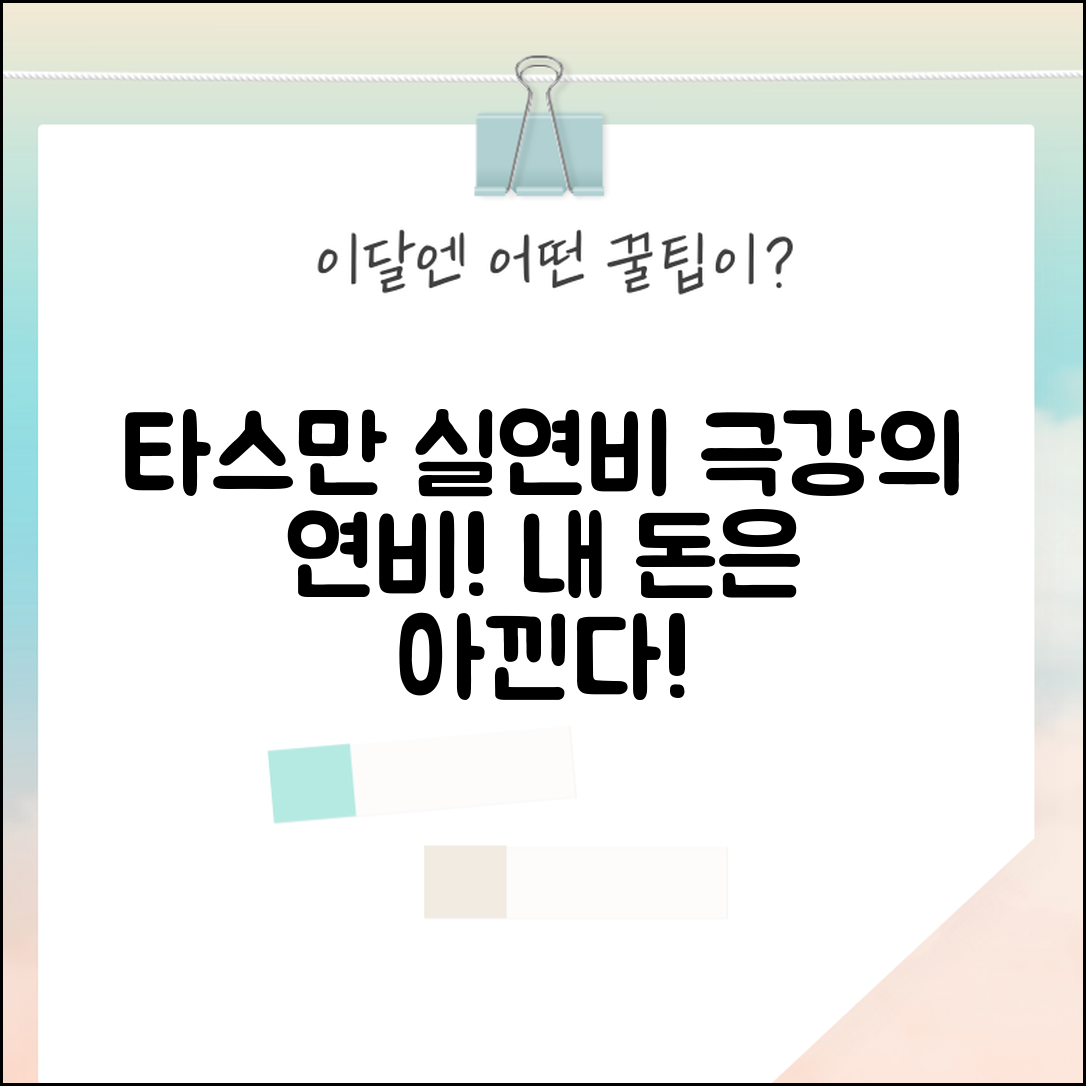 타스만 연비 실연비 | 쌍용 타스만 연료효율 완벽정리