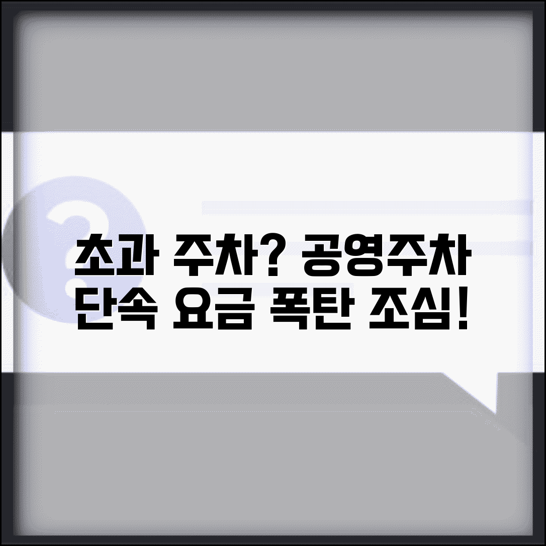 주차 단속시간 공영주차장 | 시간제 주차장 초과 주차 단속과 요금 부과 시간
