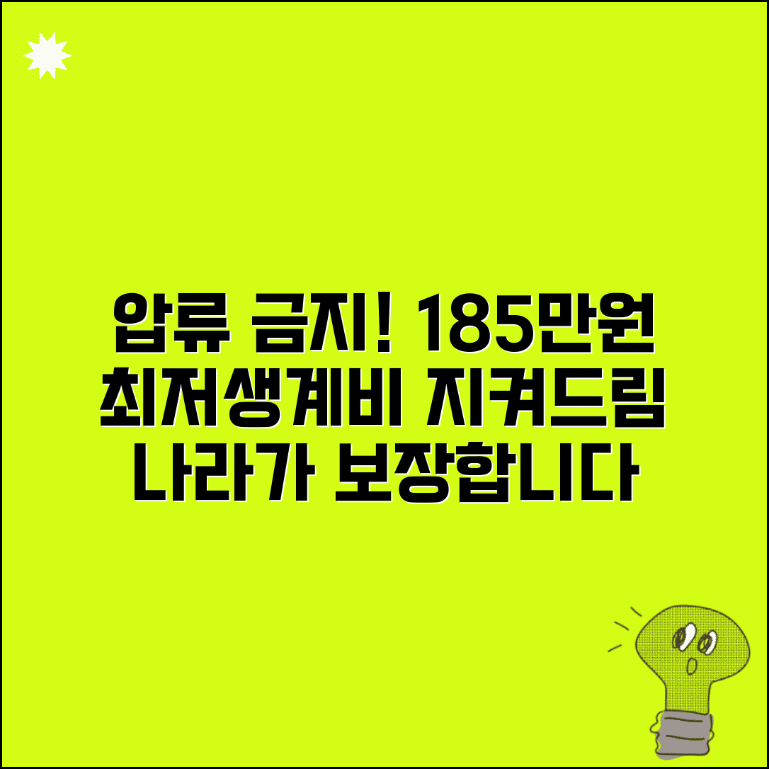 최저생계비 보장 제도 | 강제집행 시 최저생계비 185만원 압류 금지