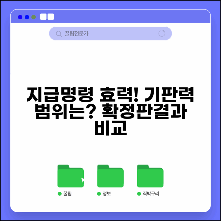 지급명령 기판력 범위와 한계 | 법적 효력과 확정 판결 비교