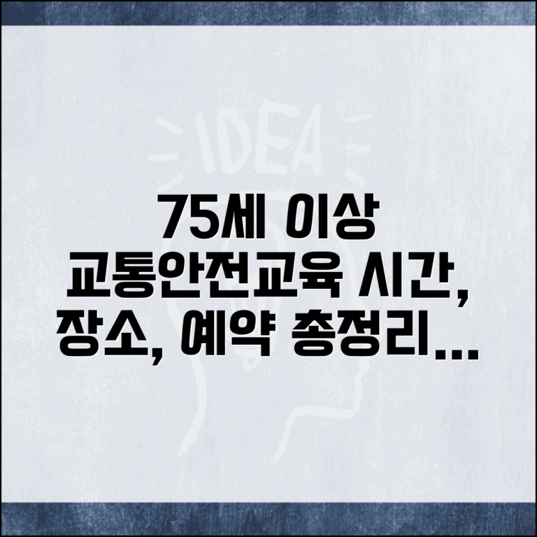 75세 이상 교통안전교육 시간 안내 | 교육 장소와 예약 방법