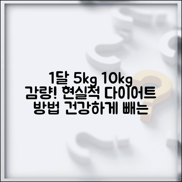 다이어트 한 달 5kg 10kg 빼는 방법 현실적 | 건강하게 살 빼는 속도 기준
