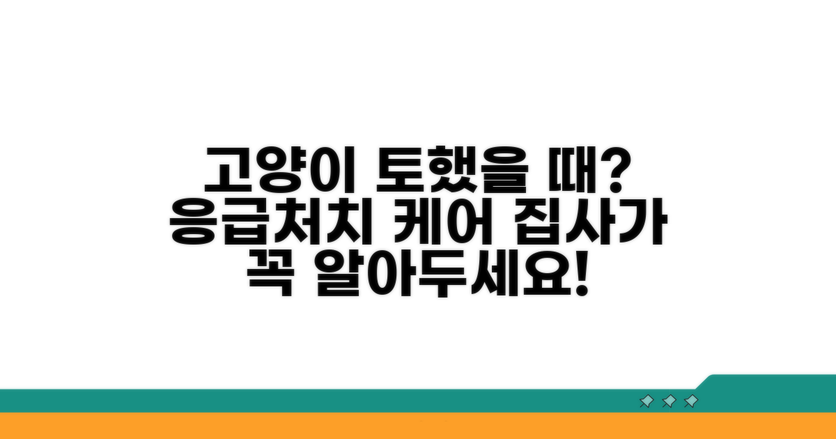 토한 후 고양이 돌보는 팁