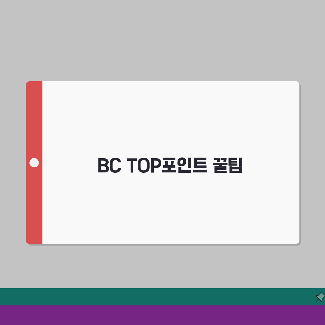 BC TOP포인트 전환 | BC카드 포인트 활용 완벽정리 직접 해봤어요