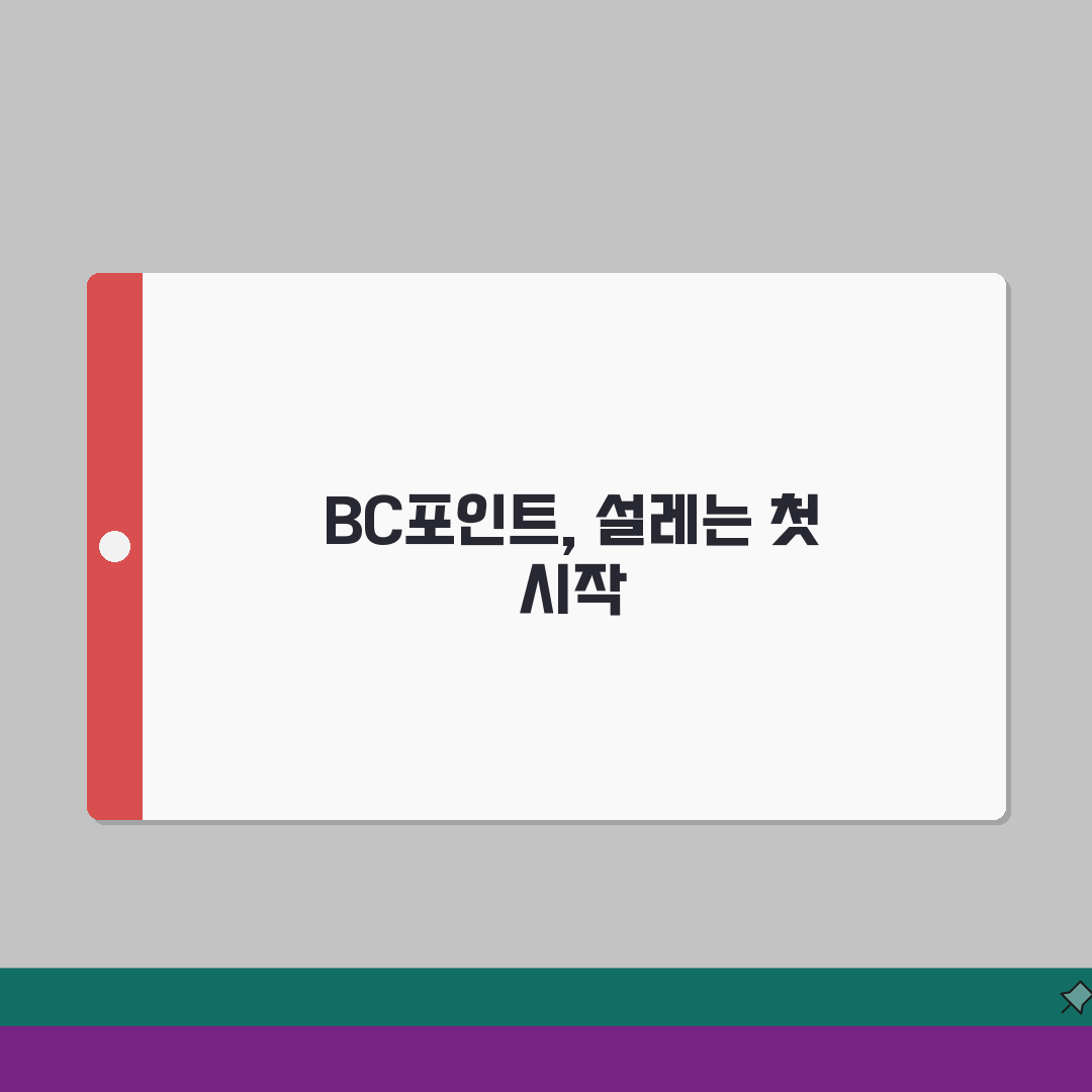 BC TOP포인트 전환 | BC카드 포인트 활용 완벽정리 직접 해봤어요