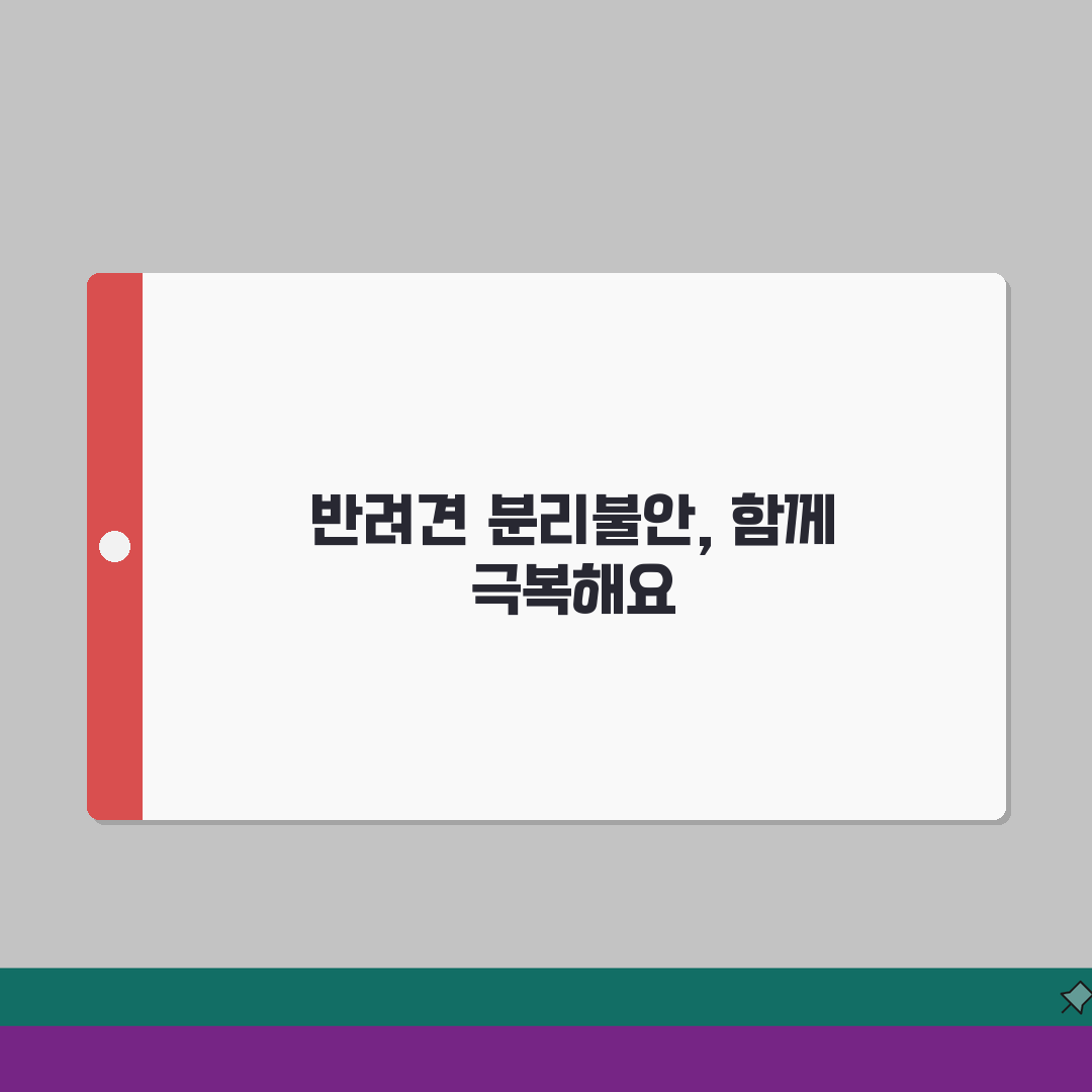 반려견 분리불안 해결 방법, 훈련사가 알려주는 비법 5가지